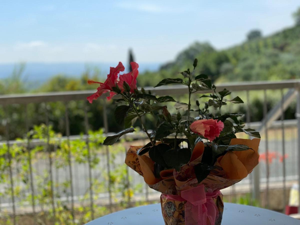 A Casa Di Silvia Leilighet Gambassi Terme Eksteriør bilde